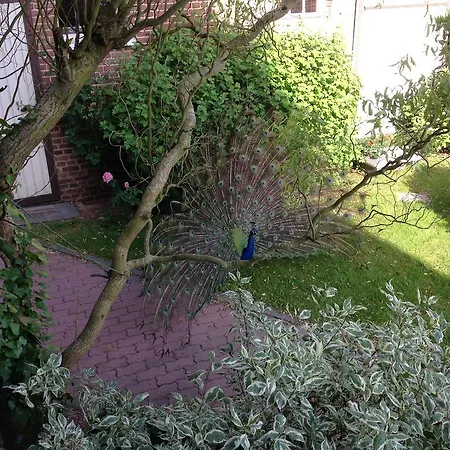 La Cense Des 6 Sens Panzió Beugny